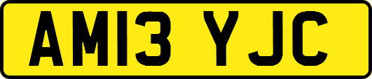 AM13YJC