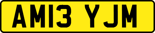 AM13YJM