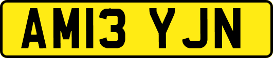 AM13YJN