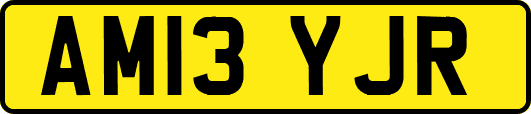 AM13YJR