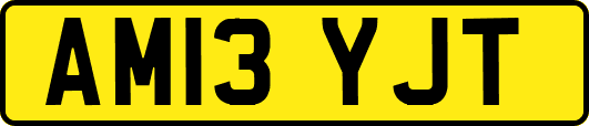 AM13YJT