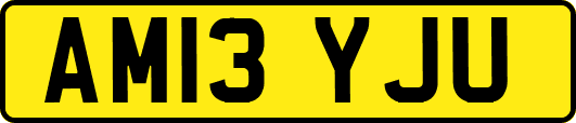 AM13YJU