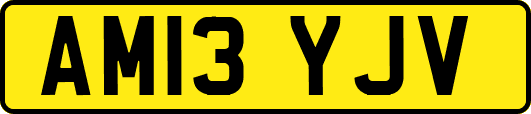 AM13YJV