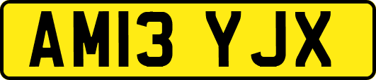AM13YJX