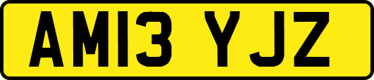 AM13YJZ