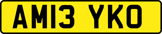 AM13YKO