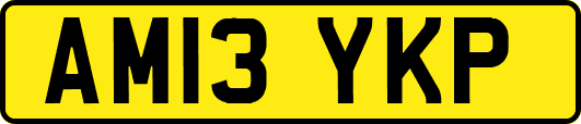 AM13YKP