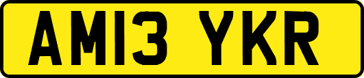 AM13YKR