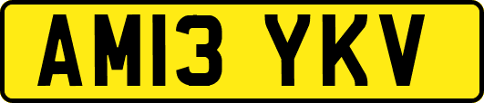 AM13YKV
