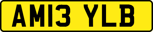 AM13YLB