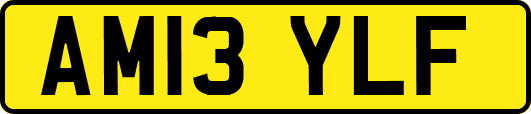AM13YLF