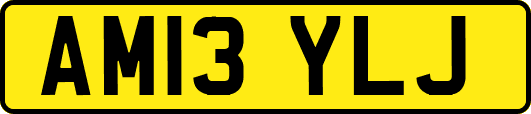 AM13YLJ
