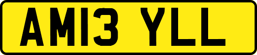 AM13YLL