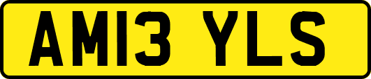 AM13YLS