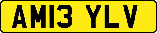 AM13YLV