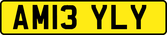 AM13YLY