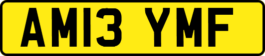 AM13YMF