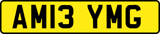 AM13YMG