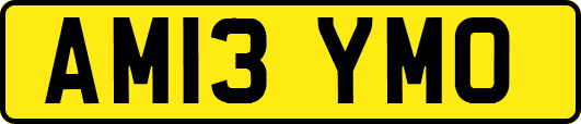 AM13YMO