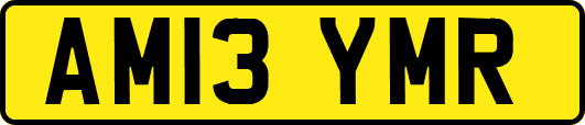 AM13YMR