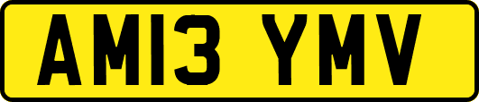 AM13YMV