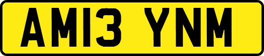 AM13YNM