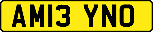 AM13YNO
