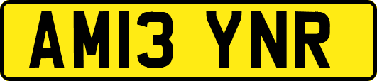 AM13YNR