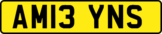 AM13YNS