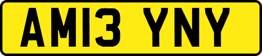 AM13YNY