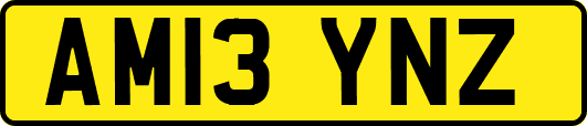 AM13YNZ