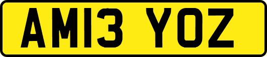AM13YOZ