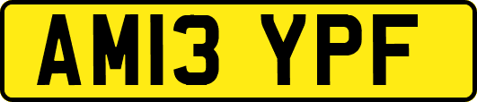 AM13YPF