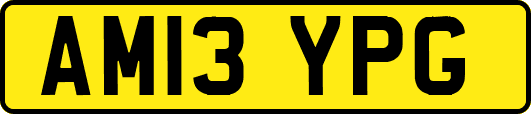 AM13YPG