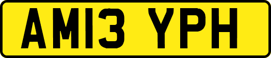 AM13YPH