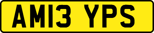 AM13YPS
