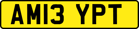 AM13YPT