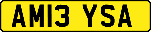 AM13YSA