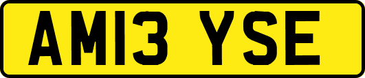 AM13YSE