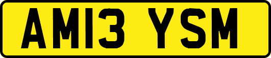 AM13YSM
