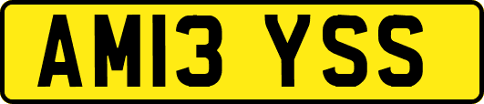 AM13YSS