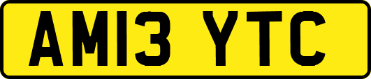 AM13YTC