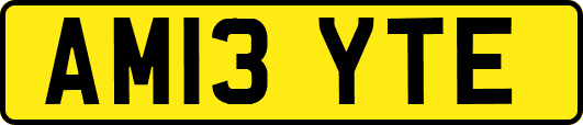 AM13YTE