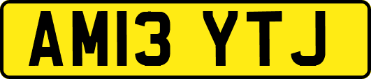 AM13YTJ