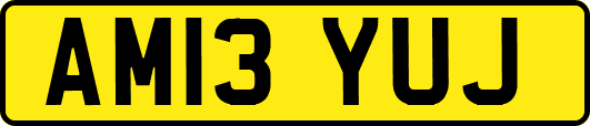 AM13YUJ