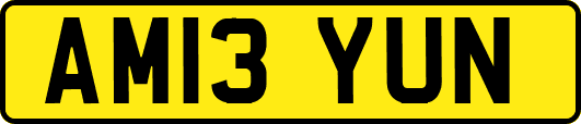AM13YUN