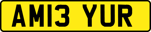 AM13YUR