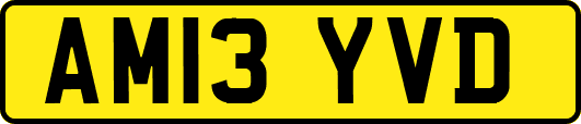 AM13YVD