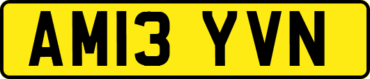 AM13YVN
