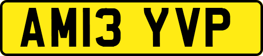 AM13YVP